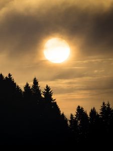 Preview wallpaper sunset, spruce, trees, clouds