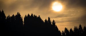 Preview wallpaper sunset, spruce, trees, clouds