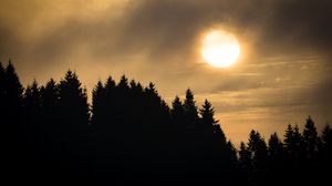 Preview wallpaper sunset, spruce, trees, clouds