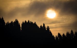 Preview wallpaper sunset, spruce, trees, clouds