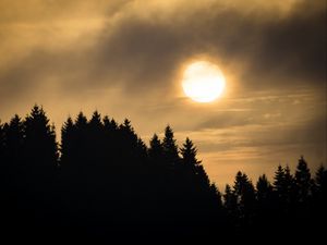 Preview wallpaper sunset, spruce, trees, clouds
