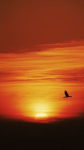 Preview wallpaper sunset, sun, bird, flying, dark