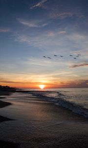 Preview wallpaper sunset, sun, birds, horizon