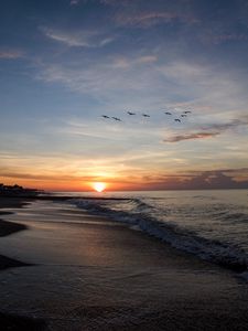 Preview wallpaper sunset, sun, birds, horizon