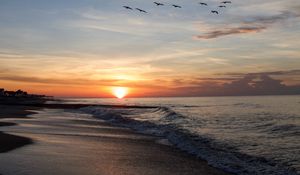 Preview wallpaper sunset, sun, birds, horizon