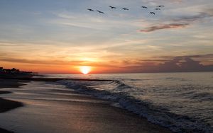 Preview wallpaper sunset, sun, birds, horizon