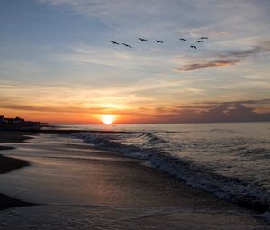 Preview wallpaper sunset, sun, birds, horizon