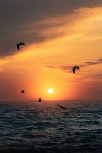 Preview wallpaper sunset, sun, birds, sea, horizon
