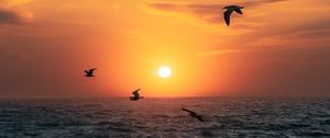 Preview wallpaper sunset, sun, birds, sea, horizon