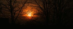 Preview wallpaper sunset, sun, branches, trees, sky