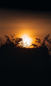 Preview wallpaper sunset, sun, branches, outlines, dark