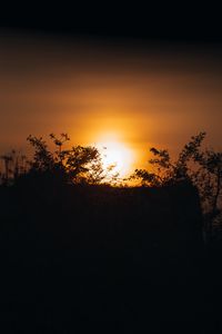 Preview wallpaper sunset, sun, branches, outlines, dark