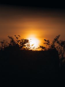 Preview wallpaper sunset, sun, branches, outlines, dark