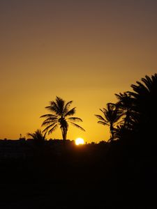 Preview wallpaper sunset, sun, palm trees, silhouette