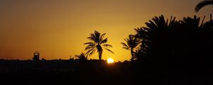 Preview wallpaper sunset, sun, palm trees, silhouette