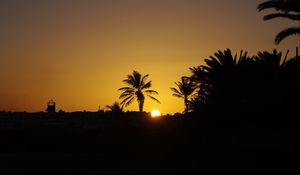 Preview wallpaper sunset, sun, palm trees, silhouette