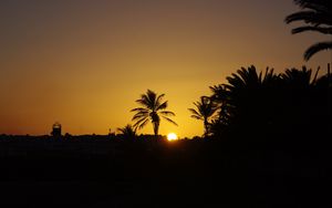 Preview wallpaper sunset, sun, palm trees, silhouette