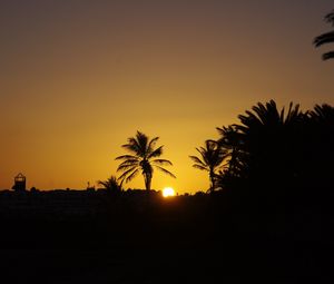 Preview wallpaper sunset, sun, palm trees, silhouette