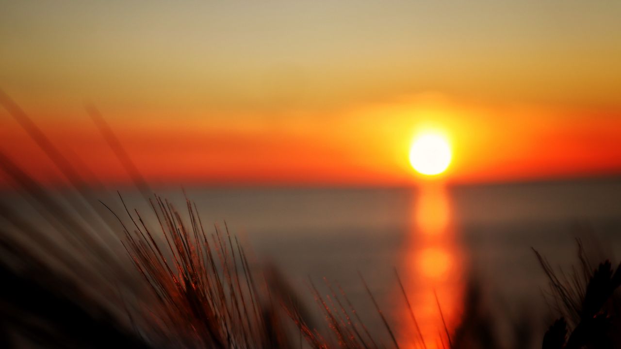 Wallpaper sunset, sun, sea, blur