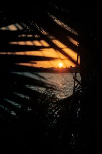 Preview wallpaper sunset, sun, sea, branches, leaves