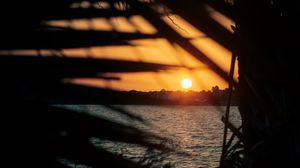 Preview wallpaper sunset, sun, sea, branches, leaves