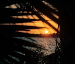 Preview wallpaper sunset, sun, sea, branches, leaves