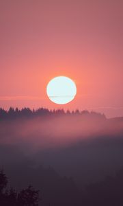 Preview wallpaper sunset, sun, spruce, trees, pink