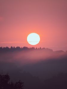 Preview wallpaper sunset, sun, spruce, trees, pink