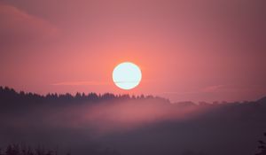 Preview wallpaper sunset, sun, spruce, trees, pink
