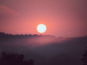 Preview wallpaper sunset, sun, spruce, trees, pink