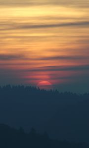 Preview wallpaper sunset, sun, spruce, trees, sky