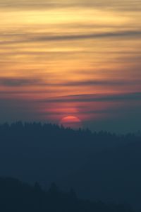 Preview wallpaper sunset, sun, spruce, trees, sky