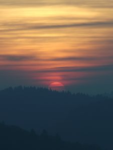 Preview wallpaper sunset, sun, spruce, trees, sky