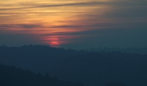 Preview wallpaper sunset, sun, spruce, trees, sky