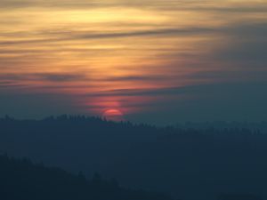 Preview wallpaper sunset, sun, spruce, trees, sky