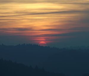 Preview wallpaper sunset, sun, spruce, trees, sky