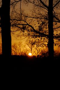 Preview wallpaper sunset, sun, trees, silhouettes, dark, branches