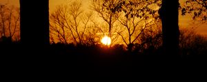 Preview wallpaper sunset, sun, trees, silhouettes, dark, branches