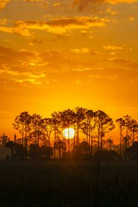 Preview wallpaper sunset, sun, trees, silhouette