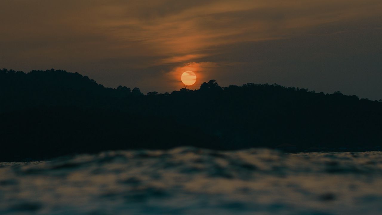 Wallpaper sunset, sun, trees, sea, blur