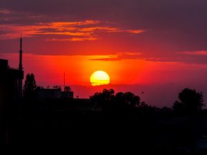 Preview wallpaper sunset, sun, trees, silhouettes, dark