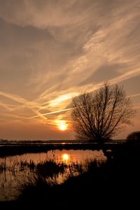 Preview wallpaper sunset, sun, water, trees