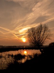 Preview wallpaper sunset, sun, water, trees