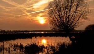 Preview wallpaper sunset, sun, water, trees