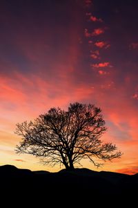 Preview wallpaper sunset, tree, clouds, sky, horizon