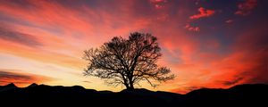 Preview wallpaper sunset, tree, clouds, sky, horizon