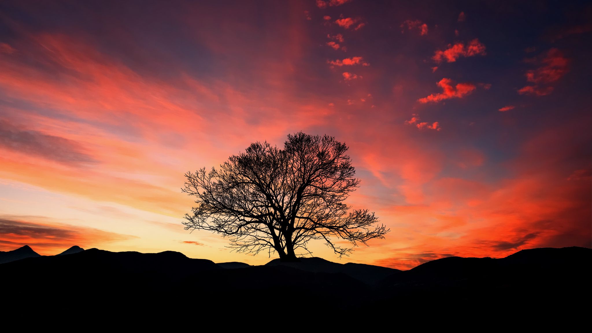 Download wallpaper 2048x1152 sunset, tree, clouds, sky, horizon