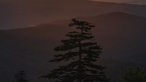 Preview wallpaper sunset, tree, fog, mountains, clouds