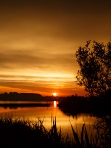 Preview wallpaper sunset, tree, horizon, grass