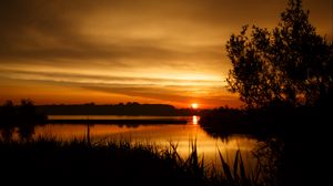Preview wallpaper sunset, tree, horizon, grass